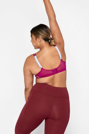 berlei sports bras usa